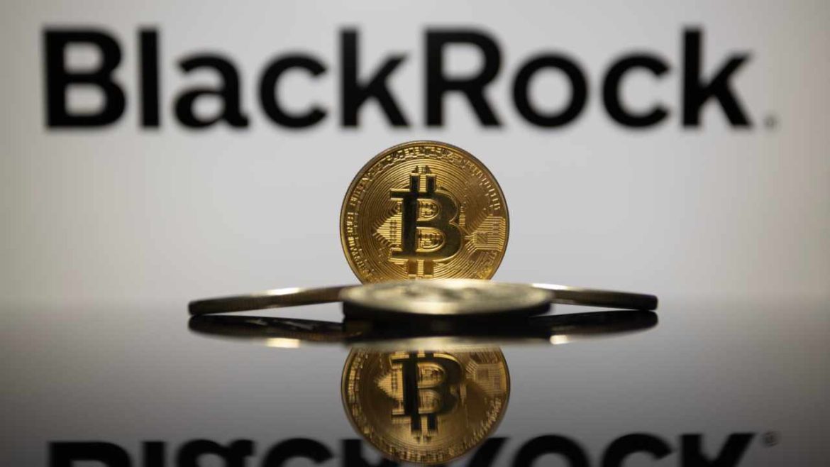 BlackRock: Bitcoin a Must-Hold Asset  
*(Under 35 characters, bold, and engaging while keeping the core message.)*