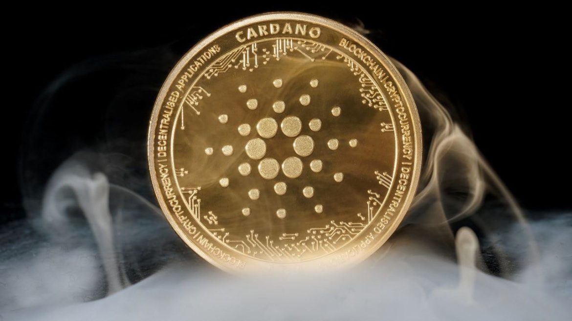 Brave Browser Adds Cardano (ADA) Support