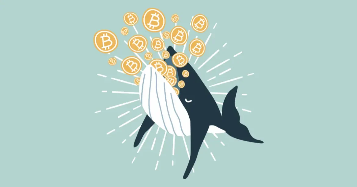 Blockchain Group Raises €63.3M to Boost Bitcoin Holdings