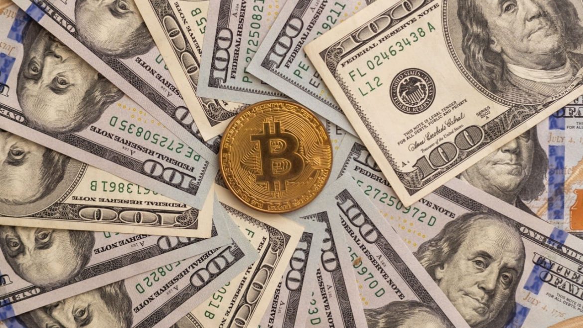 Bitcoin vs. Dollar: The Shadow Economy Shift