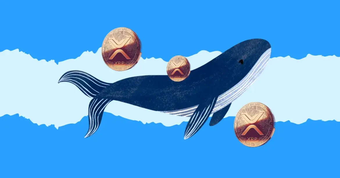 VivoPower Leads XRP Treasury with $121M Raise