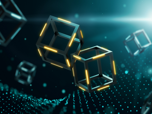 Crypto Trends: Fundamentals Unveiled