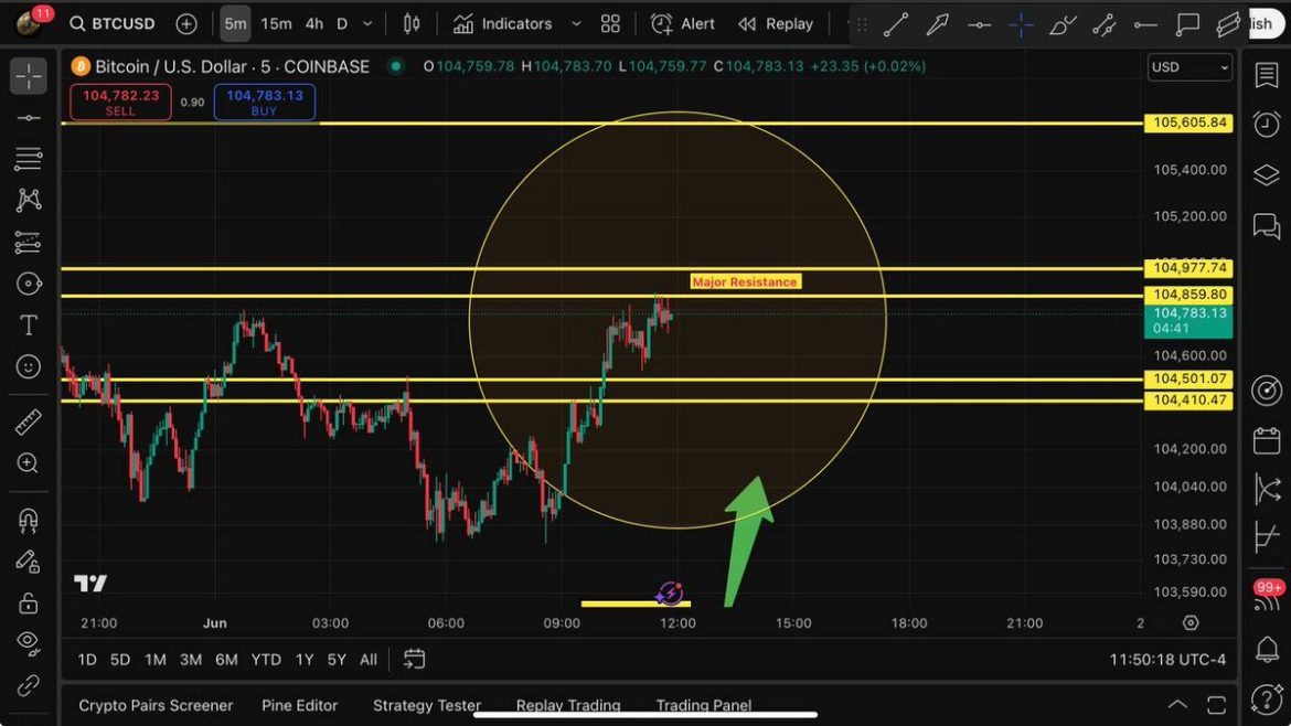Crypto Insights: Learn & Decide Wisely