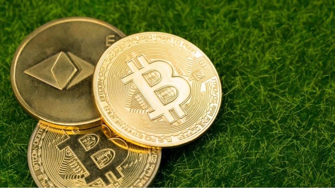 Bitcoin ETFs Rally, Ether ETFs Hit 12 Days Inflow