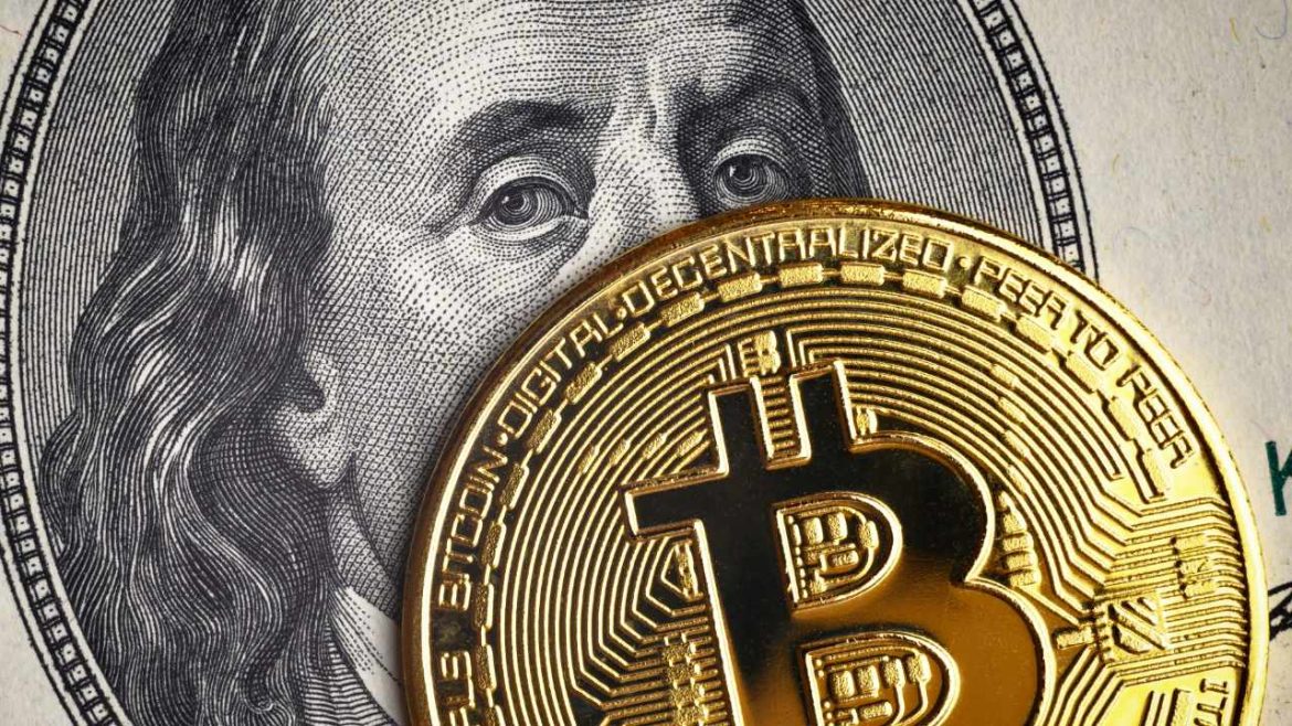 Musk Backs Bitcoin Over Dollar Crisis