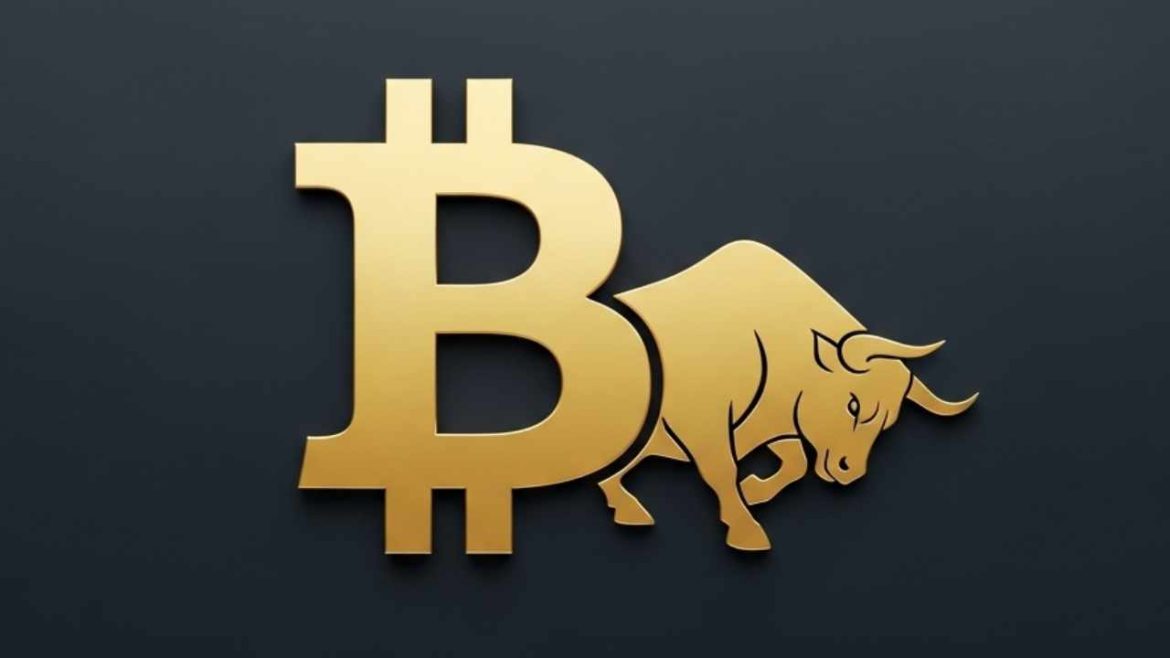Bitwise CEO: Bitcoin’s $130K-$150K No-Sell Zone