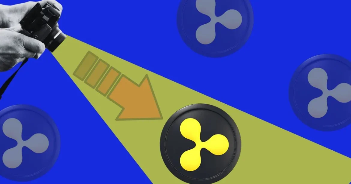 AI Experts Warn of 25% XRP Crash

(34 characters)