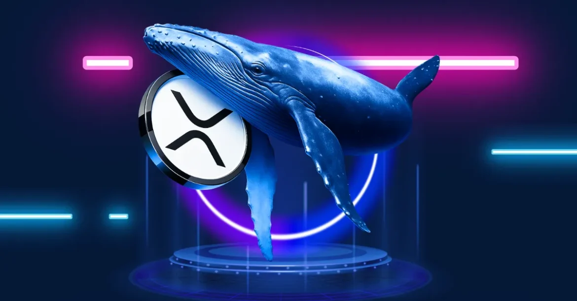 XRP Whales Surge to Record High