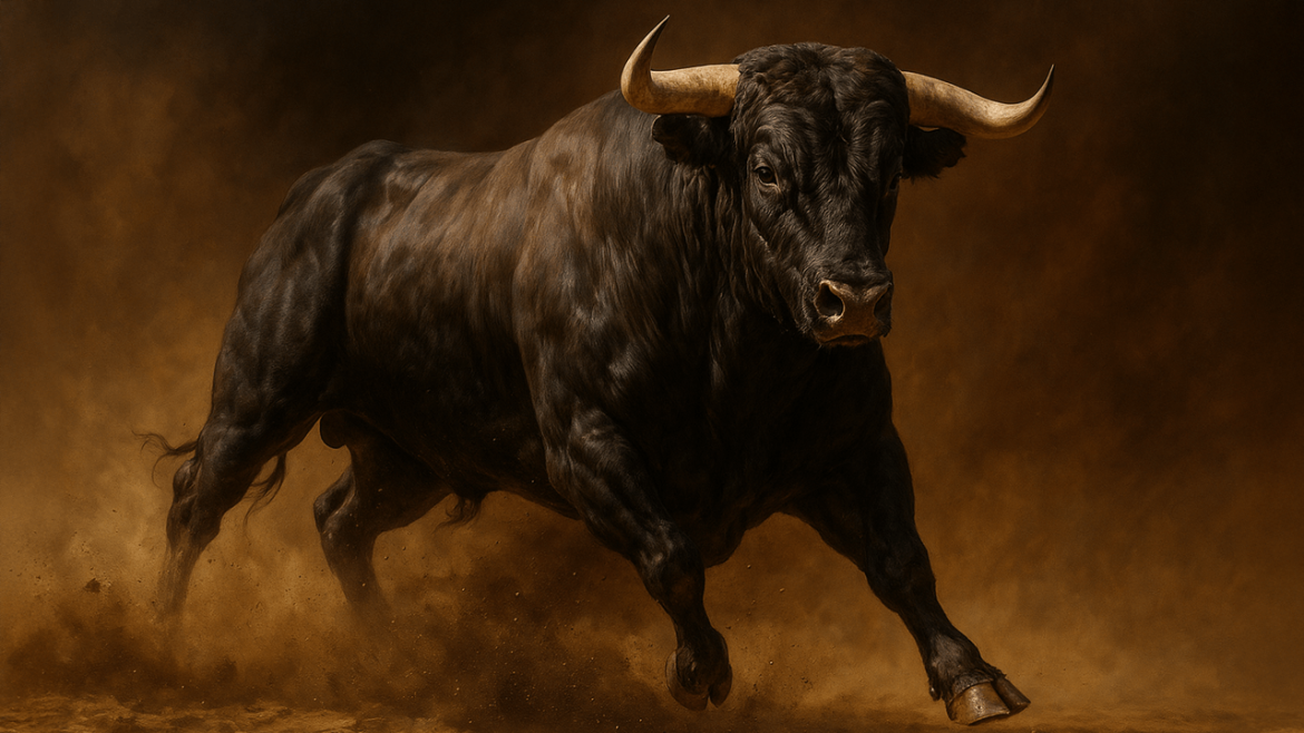 Bitcoin Futures & Options Rally