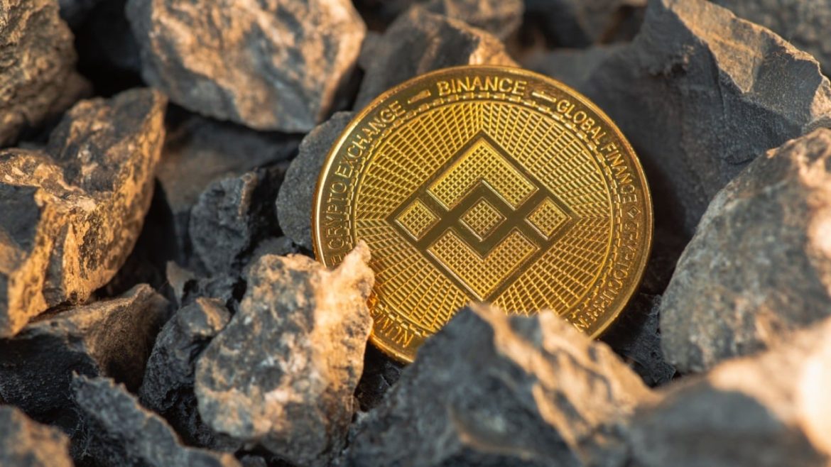 Nano Labs Expands Crypto Reserve