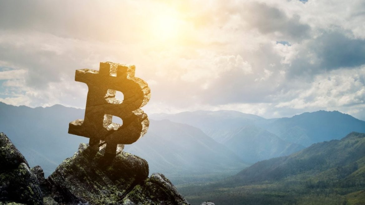 Crypto Weekly: BTC Bounces Back, ATH Predicted