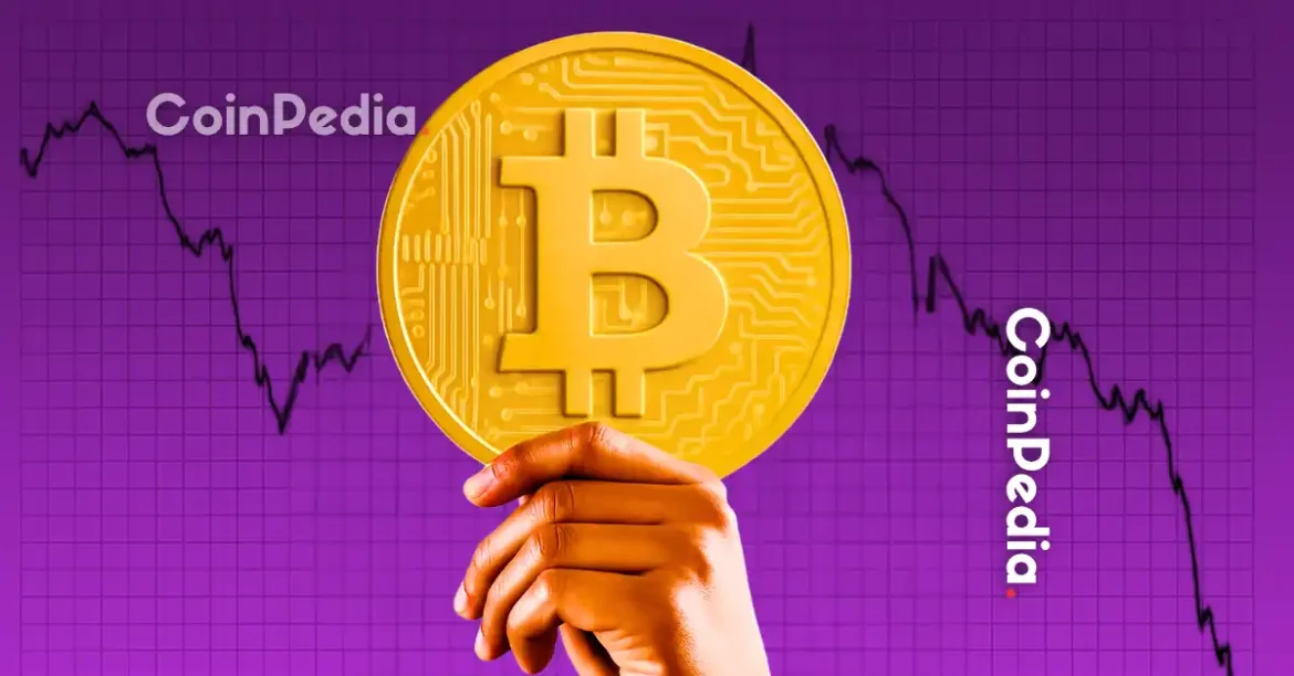 Bitcoin Rally: Who’s Driving It?