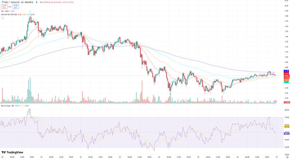 NEO/USDT: Recovery Amid Downturn