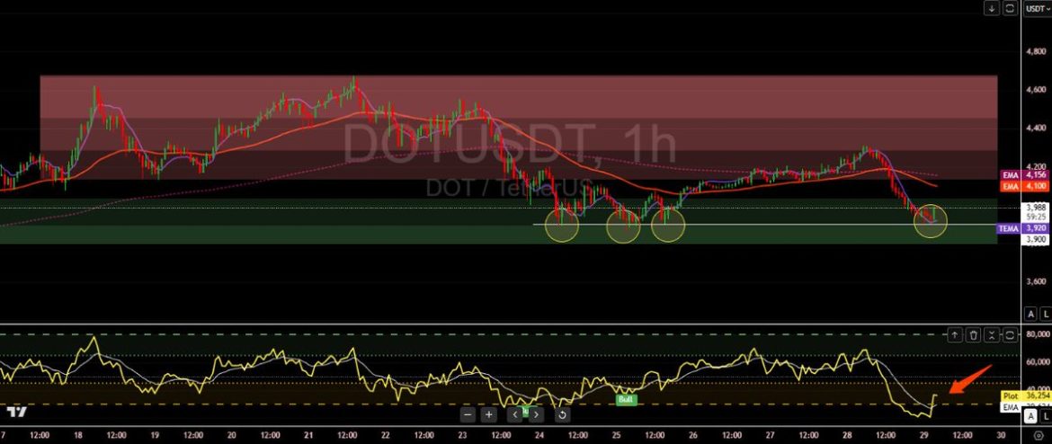 Polkadot’s 5-Day Hold